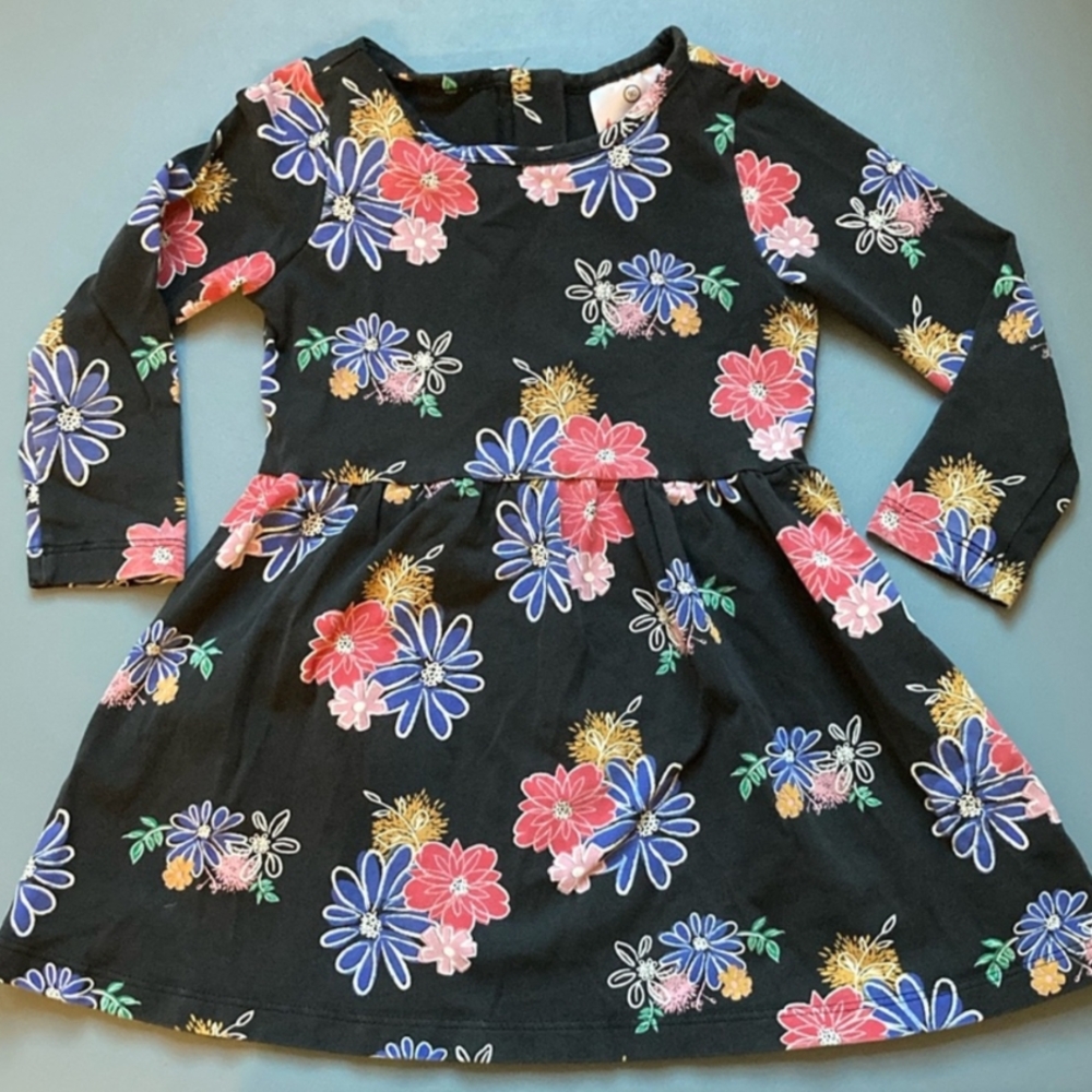 Hanna Andersson Pink and Orange Long Sleeve Sundress